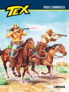 Tex Kolor Specijal 23 <br> Vukovi iz Shannonvillea